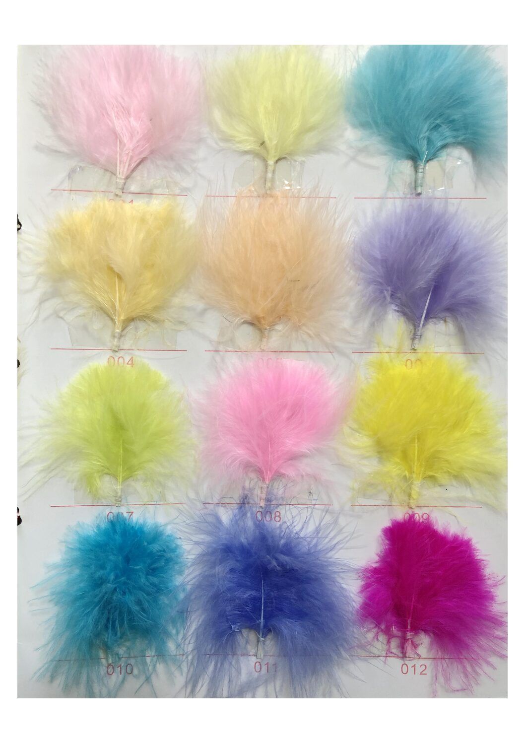 Carta de colores de plumas