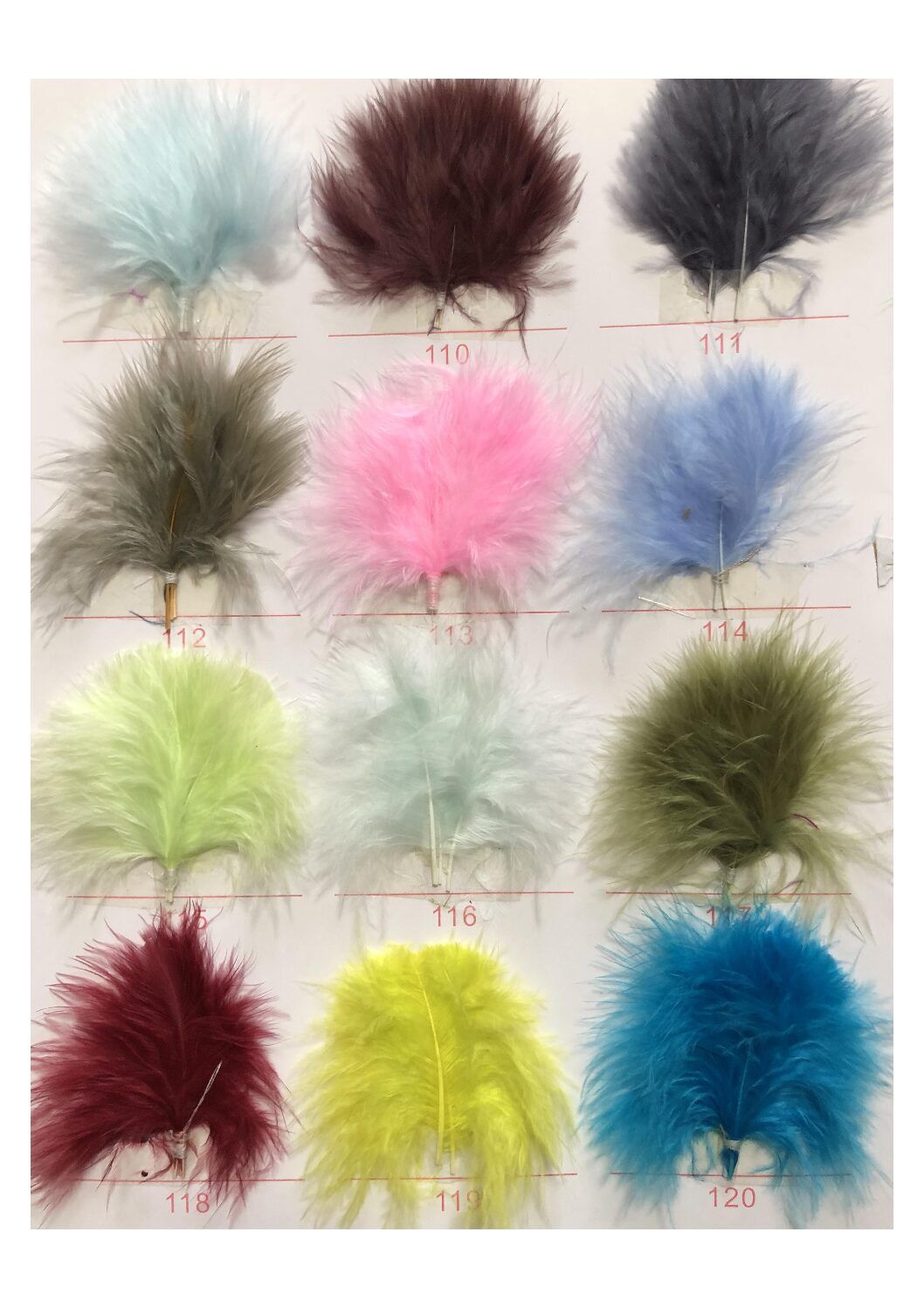 Carta de colores de plumas - Imagen 10