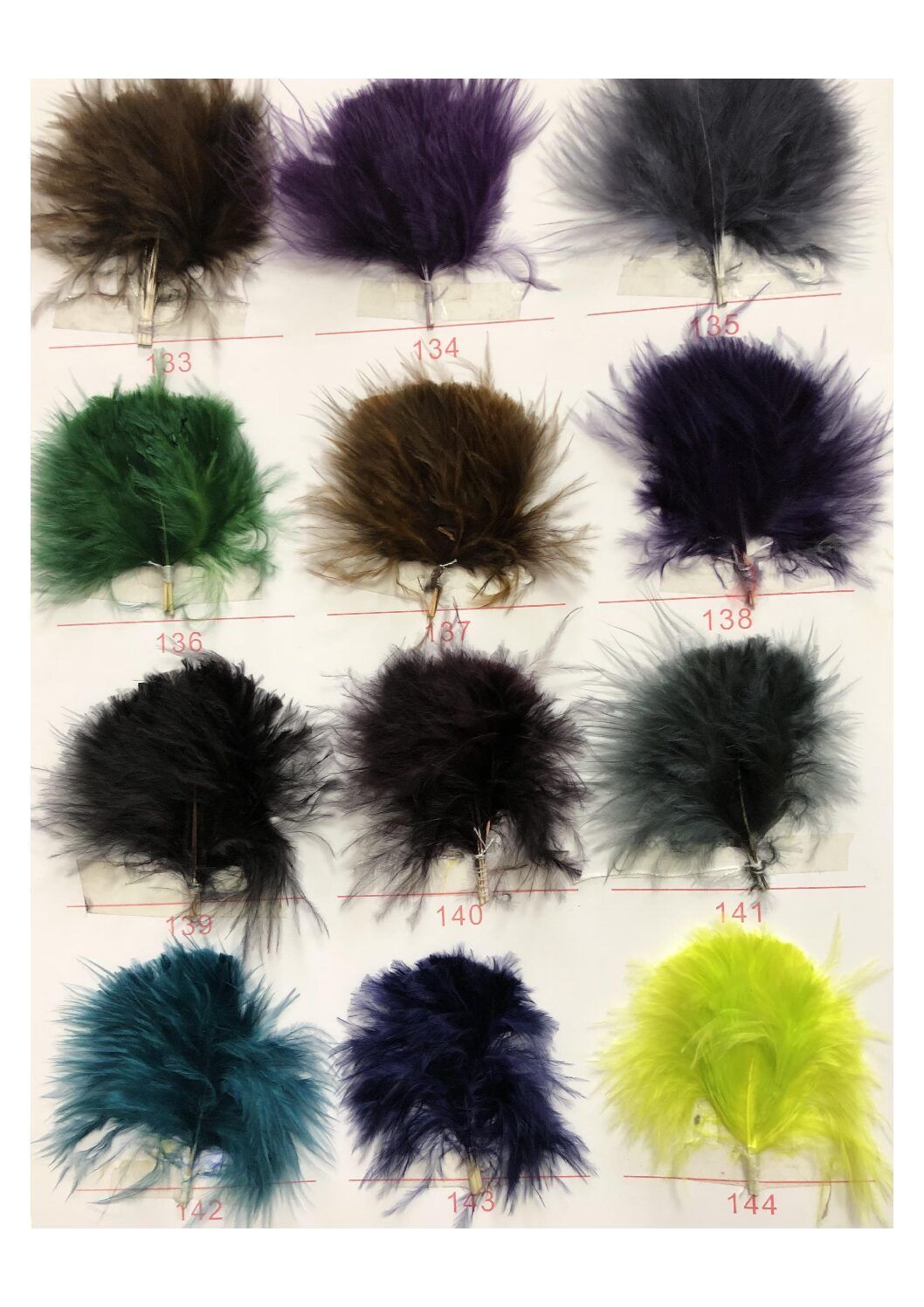 Carta de colores de plumas - Imagen 12