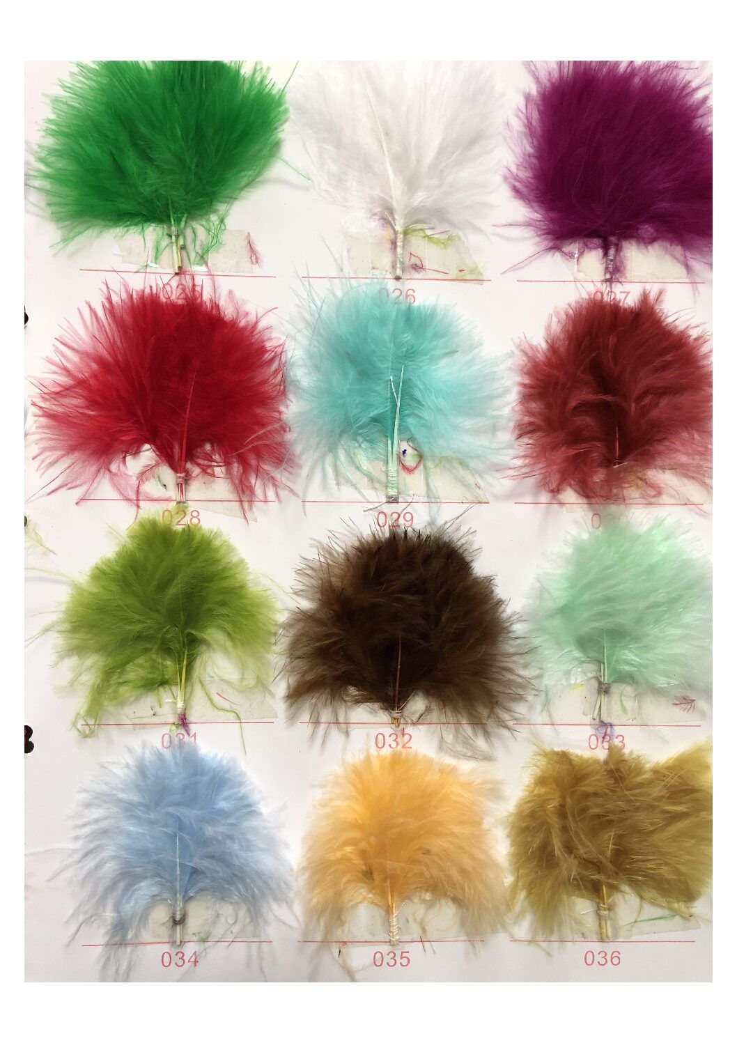 Carta de colores de plumas - Imagen 3