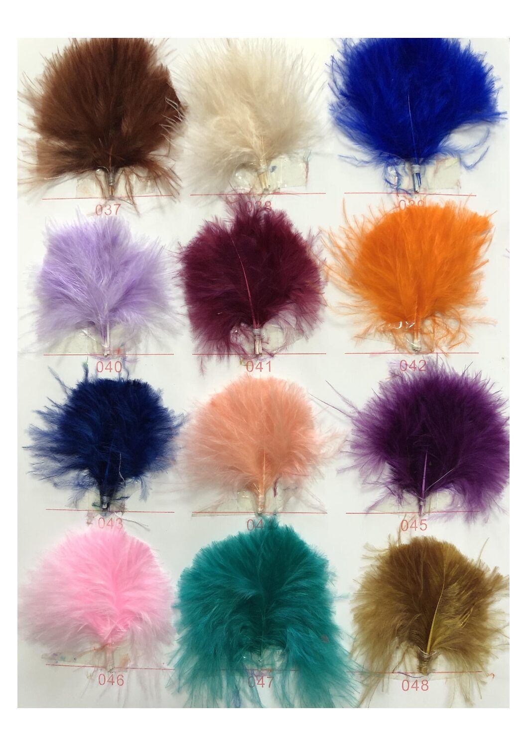 Carta de colores de plumas - Imagen 4