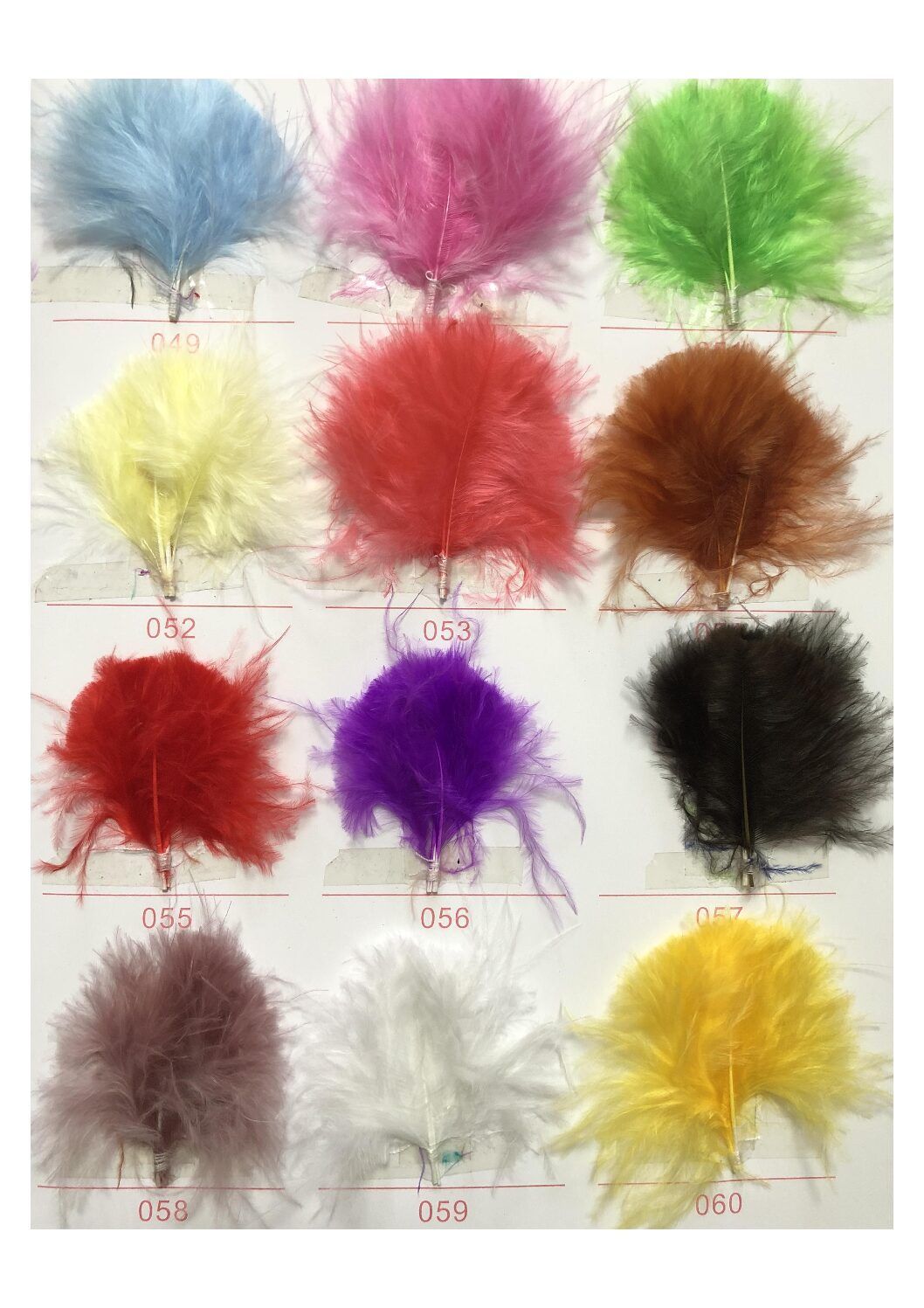 Carta de colores de plumas - Imagen 5
