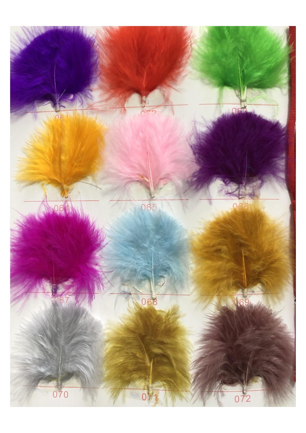 Carta de colores de plumas - Imagen 6