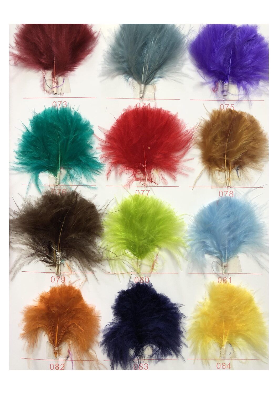 Carta de colores de plumas - Imagen 7