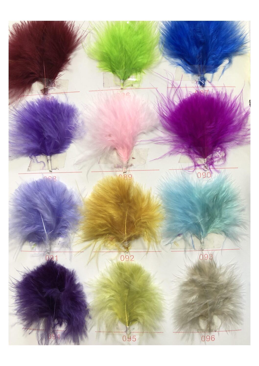 Carta de colores de plumas - Imagen 8