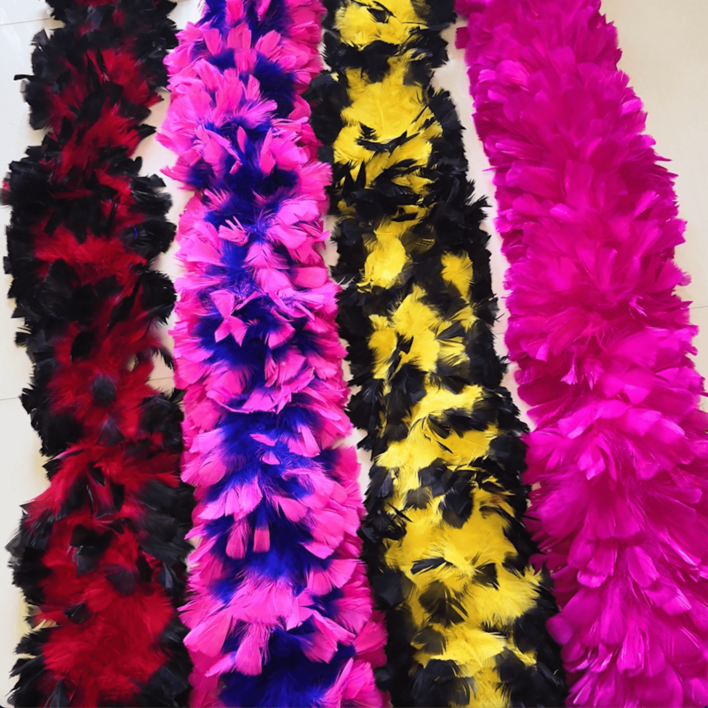 Boas de pavo bicolor
