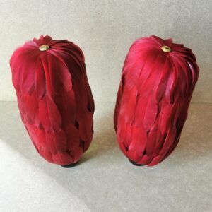 plumeros de gala