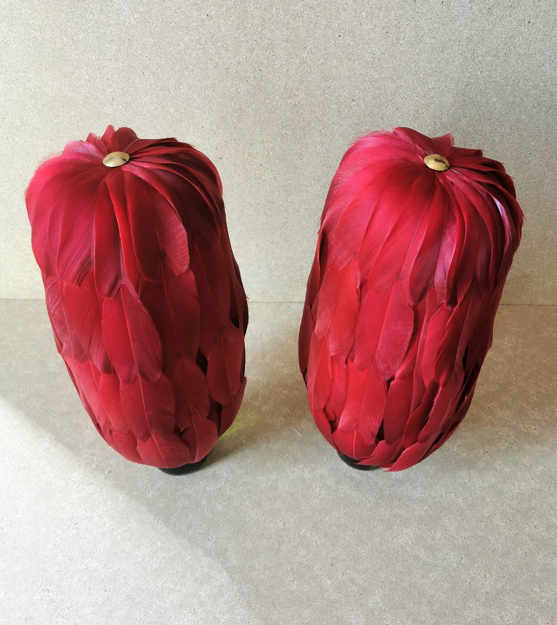 plumeros de gala