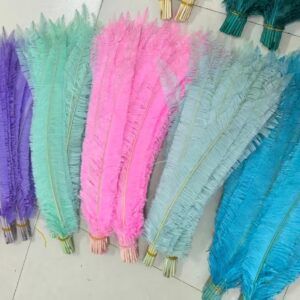 Plumas de nandu naturales en colores de 35 40 cm a 50 55 cm